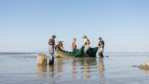 Conservation group protecting wildlife in B.C.