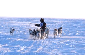 Nunavut Quest concludes with a weeklong community party