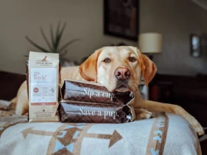 Coffee entrepreneur from Halifax helping rescue animals in need