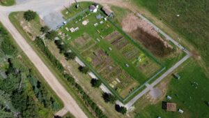 N.B. community garden grows vegetables for the community