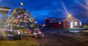 N.S. Communities Light Up Christmas Trees Made with Lobster Traps