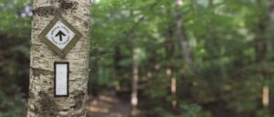 Anonymous Couple Pitches In to Raise $60M to Protect Ontario's Bruce Trail