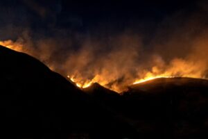 Canadian Firefighters Help Fight California Wildfires