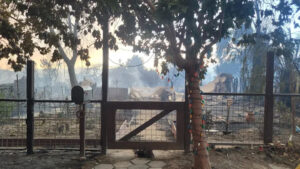 Community Supports PEI Family Who Lost Their House in California Wildfires