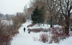 Winter Health Challenge by Doctors in Manitoba