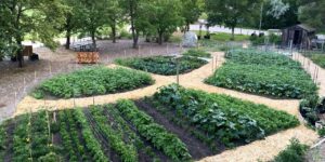 University of Regina Garden Feeds the Hungry