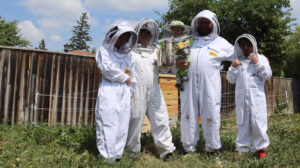 Beehive Boxes Build Community in Regina