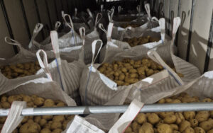 Community Group Donates 176,000 Lbs of Groceries in Calgary