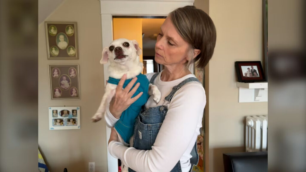 Halifax Neighbourhood Helps Dog Get a New Wheelchair