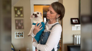 Halifax Neighbourhood Helps Dog Get a New Wheelchair