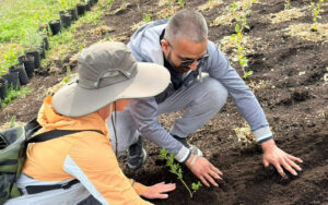 Alberta Community Helps Plant 2,850 Trees