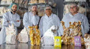 Canadian Mycology Company Inspires the Next Generation ThroughHands-On Learning