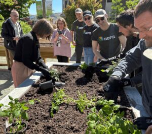 St. John’s Gardening Project Builds Skills and Community